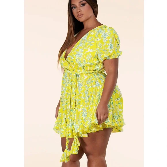 L’atiste by Amy Curvy Yellow Hummingbird Dress - Picture 2 of 12
